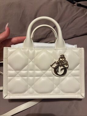 Authentic Dior Mini Book Tote
